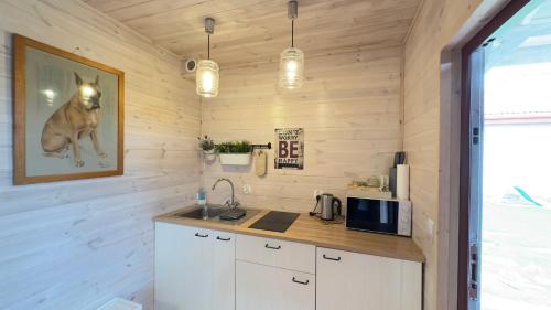 a kitchen with wooden walls and a counter with a sink at Siedlisko Wytowno in Ustka