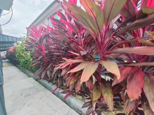 Afbeelding uit fotogalerij van Seri Mersing Villa in Mersing