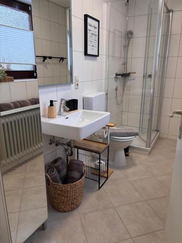 a bathroom with a sink and a shower and a toilet at Waldblick Glatt in Sulz am Neckar
