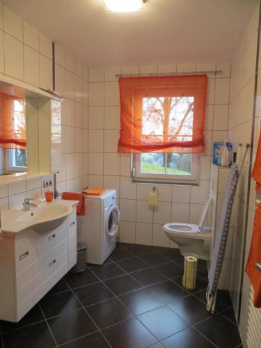 a bathroom with a toilet sink and a washing machine at Ferienwohnungen Bauernhof Schilcher in Sankt Stefan im Lavanttal