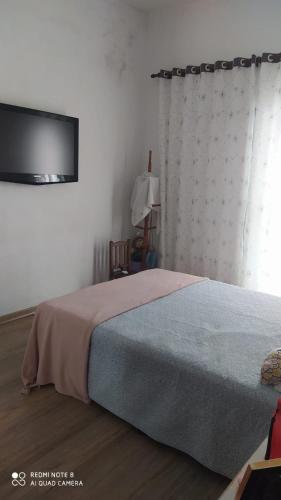 a bedroom with a bed and a tv on the wall at Espaço verão in Santa Fé do Sul
