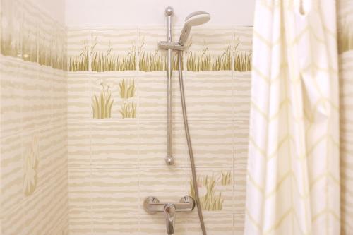 a shower with a shower head in a bathroom at Résidence hôtelière Le Provençal à Giens - Bord de mer in Hyères
