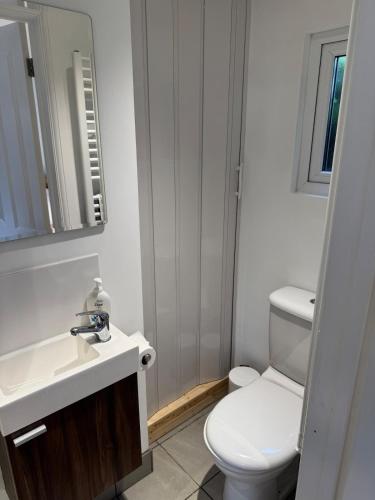 a bathroom with a toilet and a sink and a mirror at Cosy cabin nestled in the Surrey Hills in Dorking