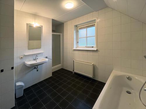 a bathroom with a sink and a bath tub at Summio Villaparc Schoonhovenseland in Hollandscheveld
