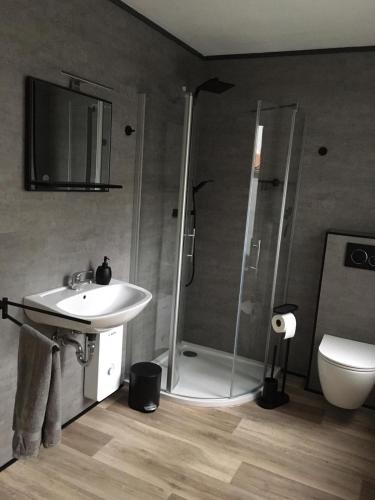a bathroom with a shower and a sink and a toilet at Gästezimmer Fischer in Ellrich