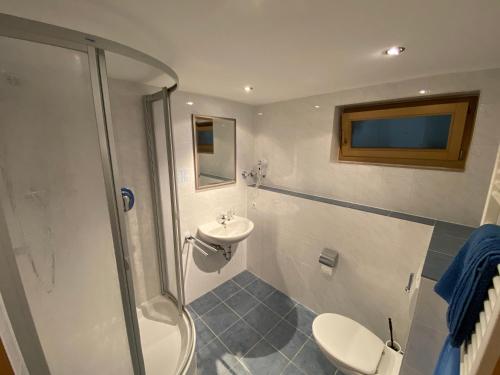 a bathroom with a shower and a toilet and a sink at Hotel zur Ulme in Anzing
