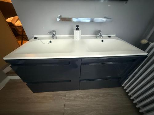 a bathroom with a white sink and blue cabinets at Auberge aux 1000 saveurs in Malay-le-Petit