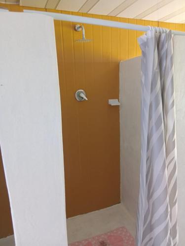 a shower in a room with a curtain at Dam Jam Cabanas in Oranjeville