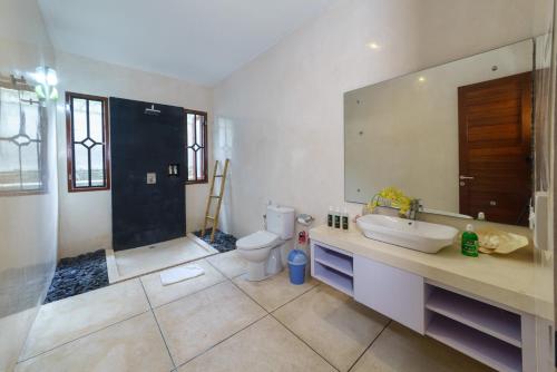 een badkamer met een toilet, een wastafel en een douche bij Villa Collard in Senggigi 