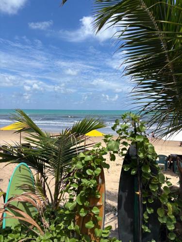 a view of a beach with a palm tree and the ocean at Eco Camping Surf in Pipa