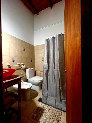 a bathroom with a toilet and a shower curtain at Chalet con puerta al arroyo in Villa General Belgrano