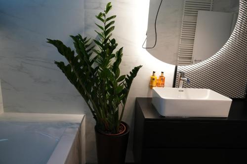 a bathroom with a sink and a potted plant at Flat 6 - Luxury Designer Apartment in Odăile