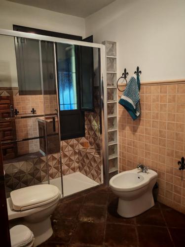a bathroom with a shower and a toilet and a sink at Hostal Casa Inés La Valerosa in Las Navas de la Concepción