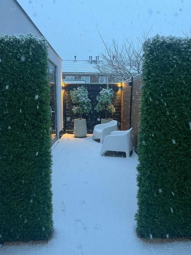 a yard with two white chairs and a hedge at Vakantie in Noordwijk in Noordwijk
