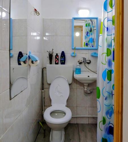 a bathroom with a toilet and a sink at Happy Place Apartment in Lupeni