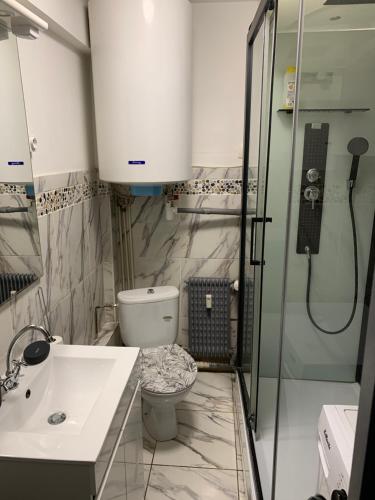 un bagno con wc, lavandino e doccia di PapayaCalais a Calais