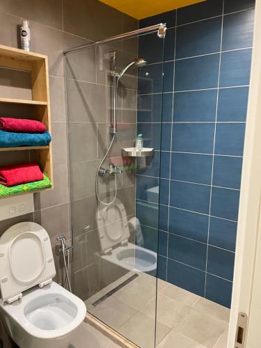 un bagno con doccia in vetro e WC di Central Apartment a Tirana