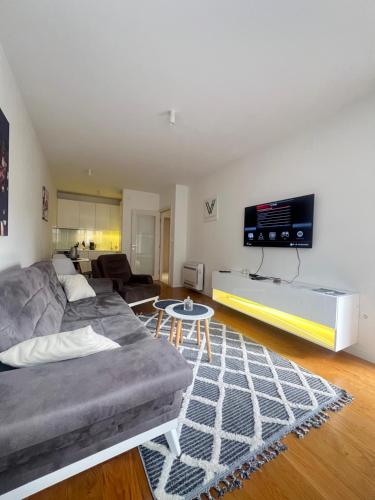 a living room with a couch and a tv at White Homes 1BR - Central Point in Podgorica