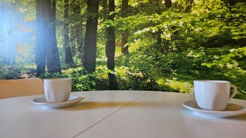 3611 HAUS HABRUCK Top 1 C