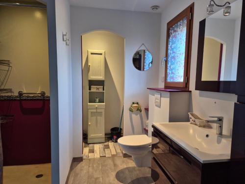 a bathroom with a white toilet and a sink at Charmante maison in Lacs