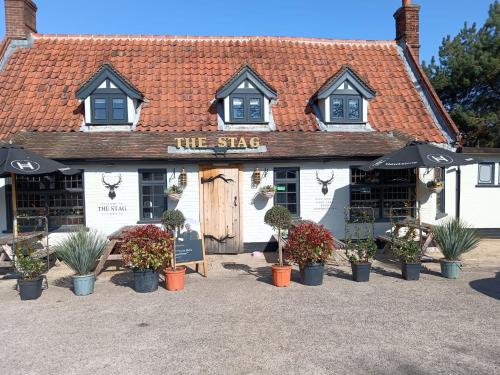a building with plants in pots in front of it at The Stag in Salhouse