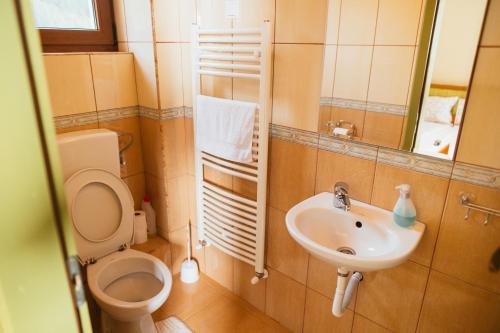 a bathroom with a toilet and a sink at Zafir House Harghita Bai Ski in Harghita-Băi