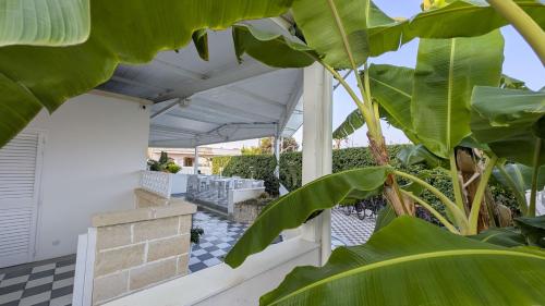 a patio with awning and plants on a house at Casa vacanze Lu Salentu in Torre Lapillo
