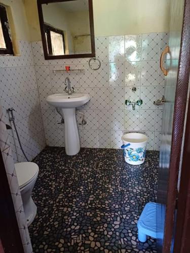 a bathroom with a sink and a toilet and a mirror at Dreamland Cottage in Pahalgām