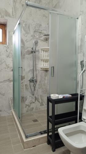 a bathroom with a shower with a sink and a toilet at Leo Villas in Florina