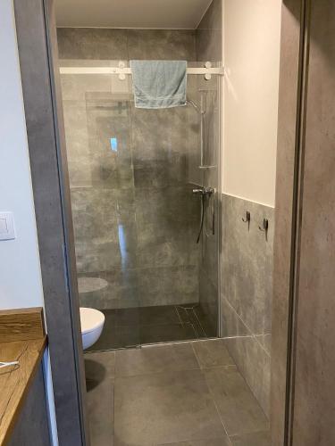 a shower with a glass door in a bathroom at Apartament Ksawery parking w cenie podgrzewany basen in Rewal