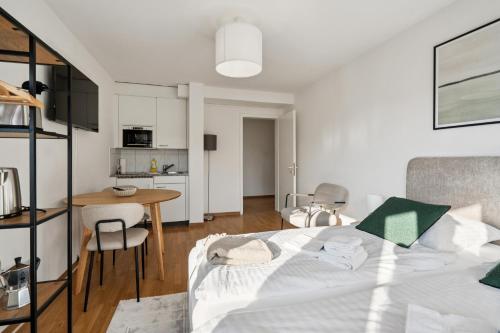 Stylish studio in city center - Crown 36