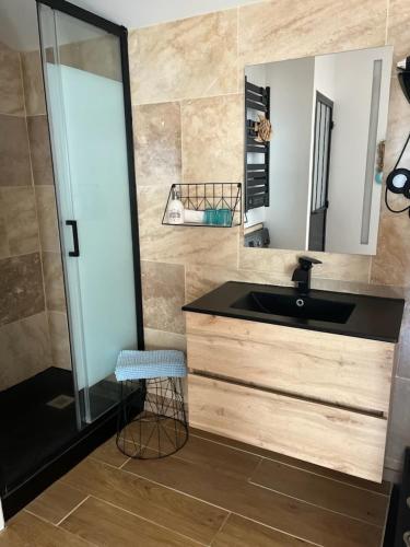 a bathroom with a sink and a mirror at O'sun avec jacuzzi privatif in Frontignan