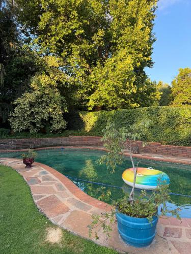 a pool of water with a boat in it at Moya Guesthouse in Johannesburg