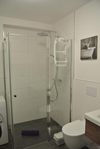 a bathroom with a glass shower with a toilet at Ferienwohnung Meer-Zeit in Lubmin