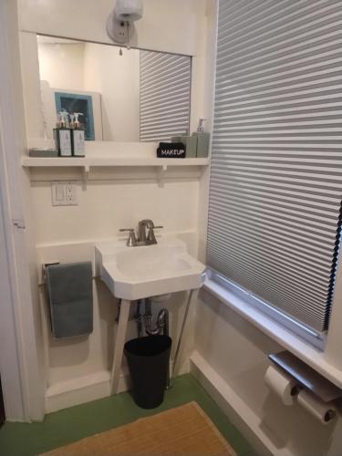 a bathroom with a sink and a mirror and a window at The Acorn at Oak Lodge in Palenville