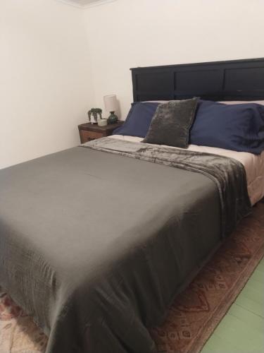 a bedroom with a large bed with blue pillows at The Acorn at Oak Lodge in Palenville