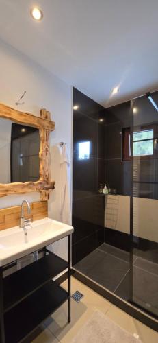 a bathroom with a sink and a shower at The Froggies in Gura Negri
