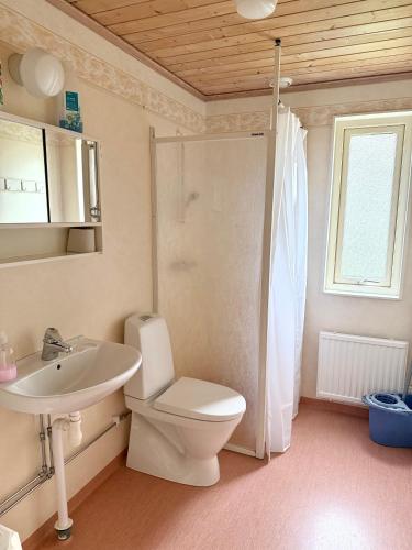 a bathroom with a white toilet and a sink at Nobel Cabins - Furillen in Lärbro