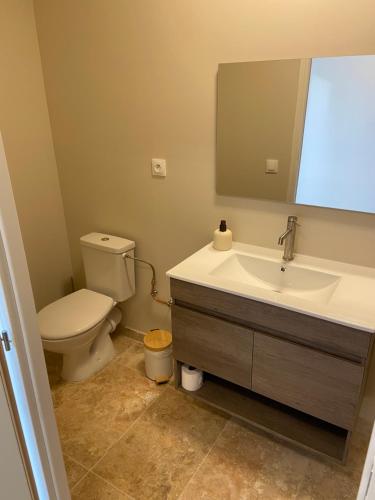 a bathroom with a toilet and a sink and a mirror at Chambre double centre ville Bergerac in Bergerac