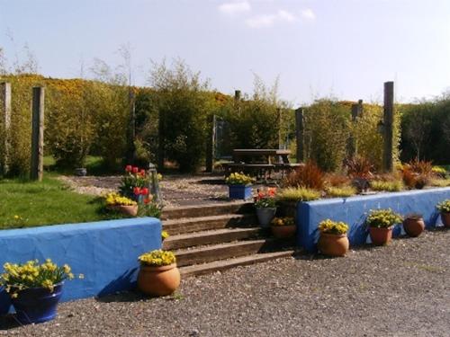 a garden with a bunch of potted plants and stairs at The Village Studio Apartments in Moate