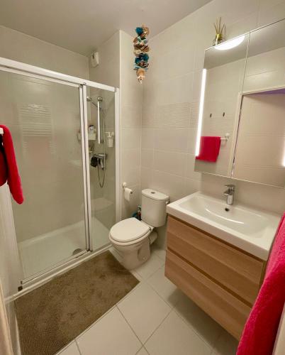 a bathroom with a shower and a toilet and a sink at Flo location Fréjus in Fréjus