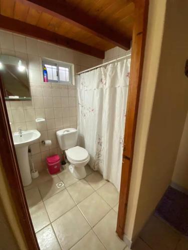 a bathroom with a toilet and a sink at Duplex lo de Aaron in El Bolsón