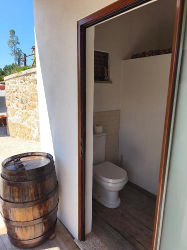 a bathroom with a toilet and a wooden barrel at Casa do Reguengo, Freigil in Resende