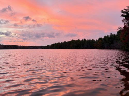 Gallery image of The Lake House in Coventry
