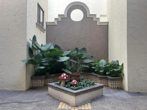 a courtyard with a garden with two mushrooms and plants at Cerca de todo en San Jerónimo in Monterrey