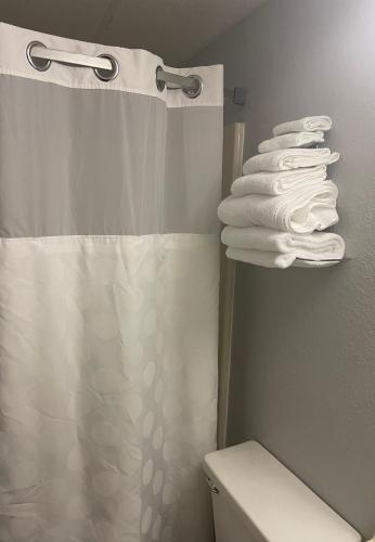 a bathroom with a shower curtain and a pile of towels at Lincoln Hotel in Lincoln