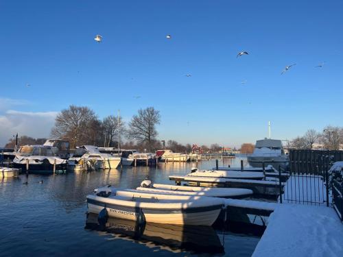 Un gruppo di barche sono ormeggiate nell'acqua. di Vinkestek Verhuur a Vinkeveen