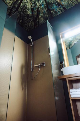 a shower stall in a bathroom with a ceiling at AUSZEIT DAS HOTEL Asbach-Bäumenheim & AUSZEIT DAS RESTAURANT in Asbach-Bäumenheim