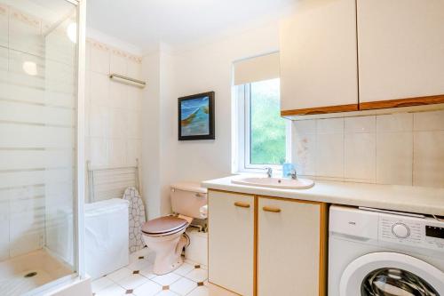 een badkamer met toilet en wastafel en wasmachine bij 5 Bed in Oxwich oc-g31916 in Oxwich