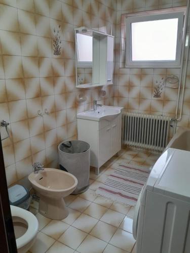 a bathroom with a sink and a toilet and a mirror at Ikar Apartment in Ika